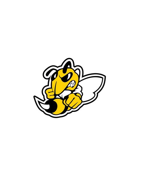 dayton sting baseball|14U Dayton Sting 2022 2022 Team Profile .